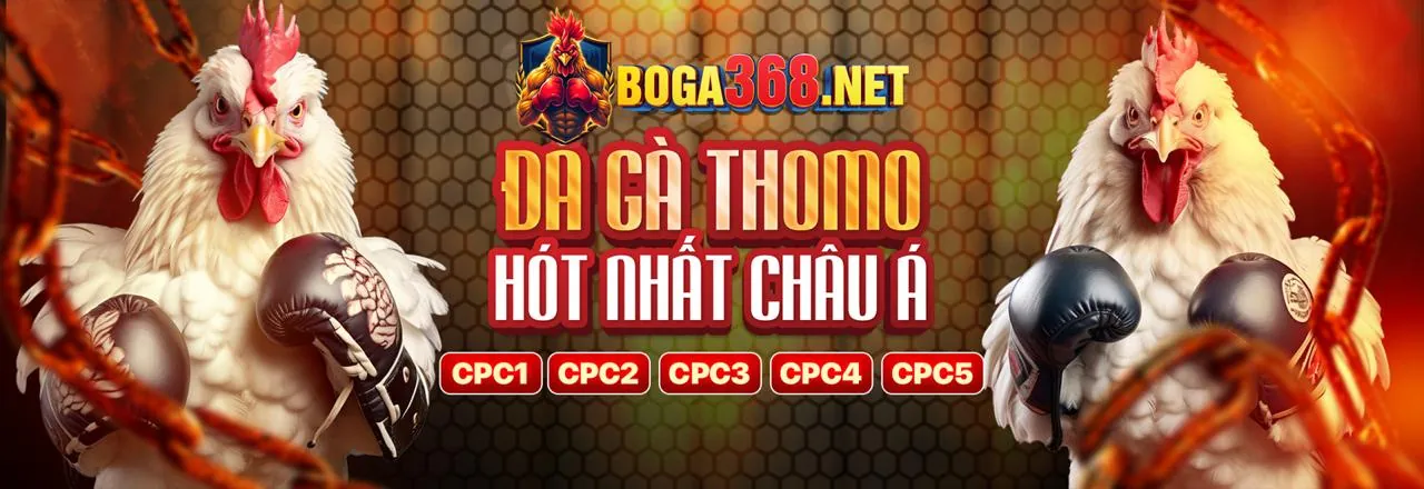 Đá gà trực tuyến u8888 bet 2026