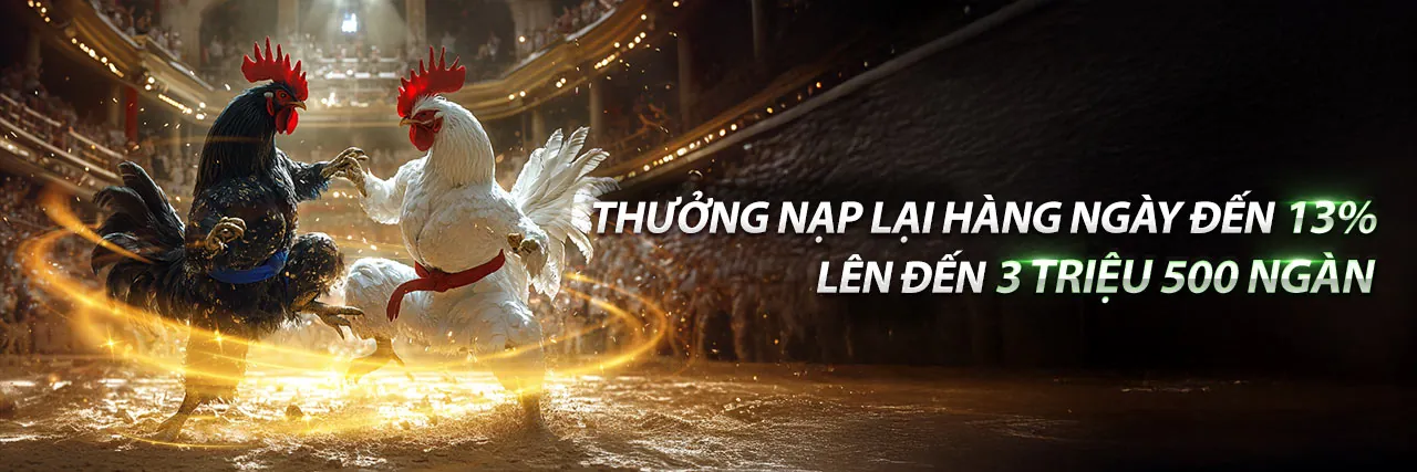Hình ảnh chính blog u8888 bet