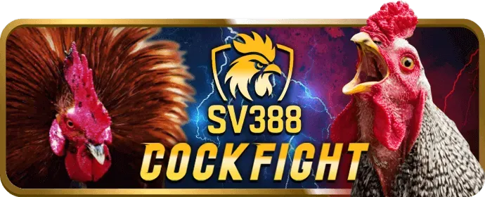 Cộng đồng u8888 bet