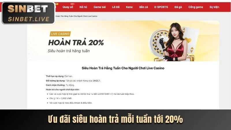 Thưởng nạp lại hàng ngày u8888 bet